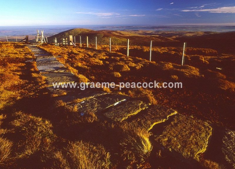 The Cheviot summit near Wooler, Cheviot Hills, Northumberland, NNPA