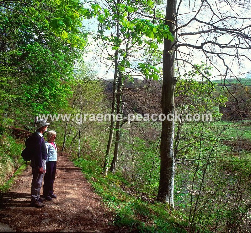 Allenbanks near Bardon Mill, Northumberland