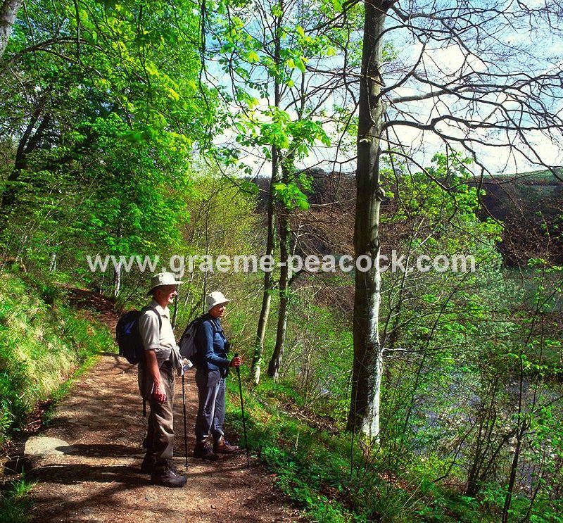 Allenbanks near Bardon Mill, Northumberland