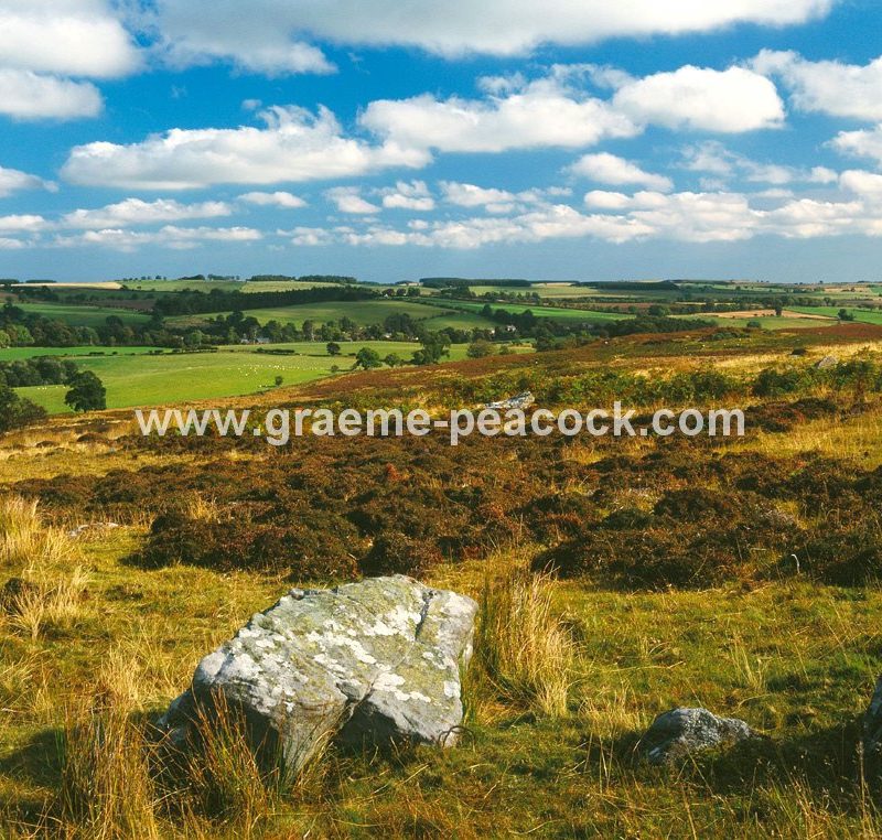 Beanley Bank, near Eglingham, Northumberland