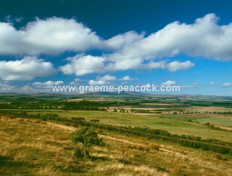 Cheviot Hills, viewed from from Beanley Bank, Northumberland