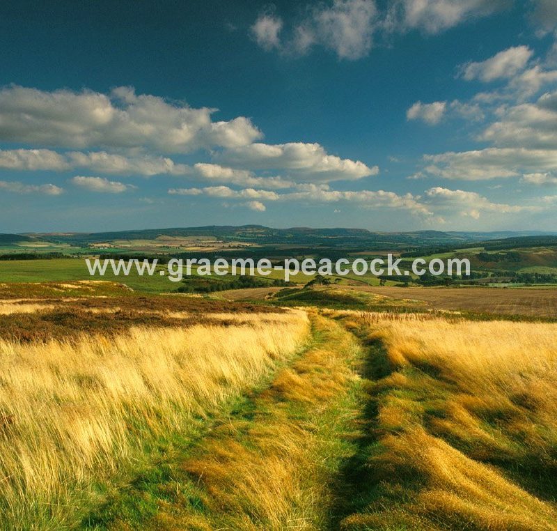 Doddington Moor, near Wooler, Northumberland