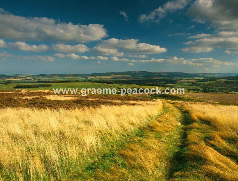 Doddington Moor, near Wooler, Northumberland