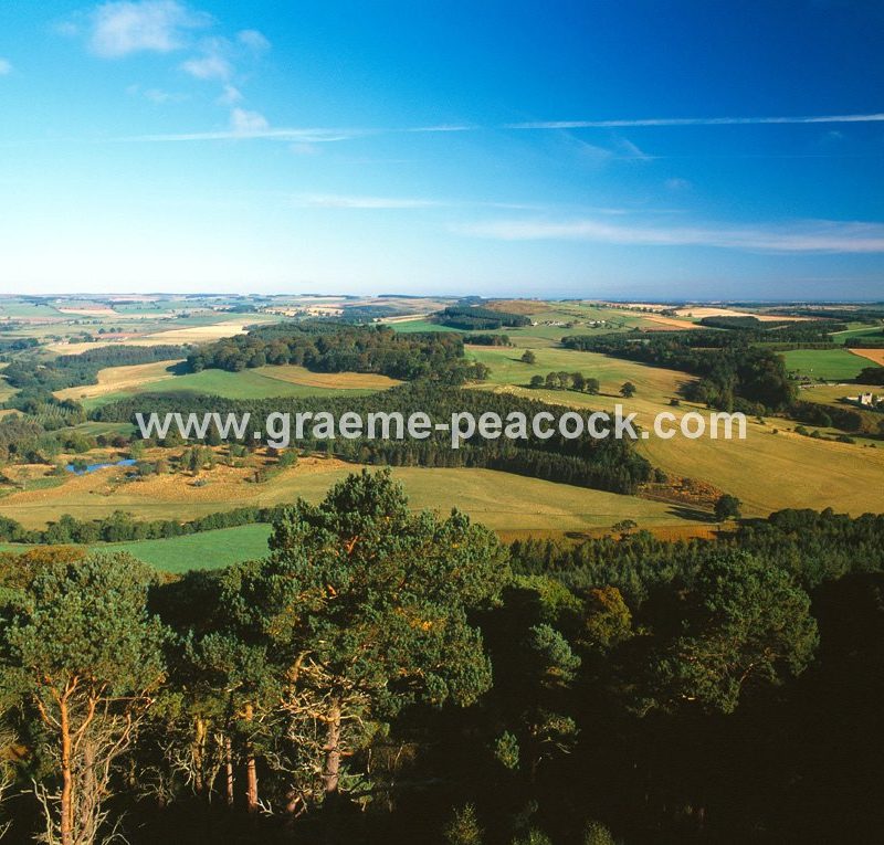 View from Brizlee Tower, Hulne Park, Alnwick, Northumberland
