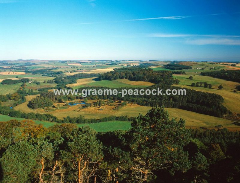 View from Brizlee Tower, Hulne Park, Alnwick, Northumberland