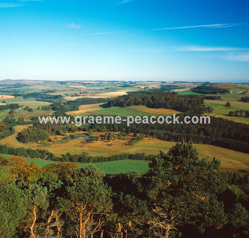 View from Brizlee Tower, Hulne Park, Alnwick, Northumberland