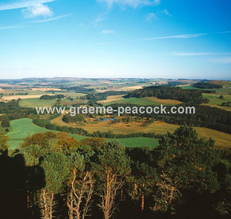 View from Brizlee Tower, Hulne Park, Alnwick, Northumberland