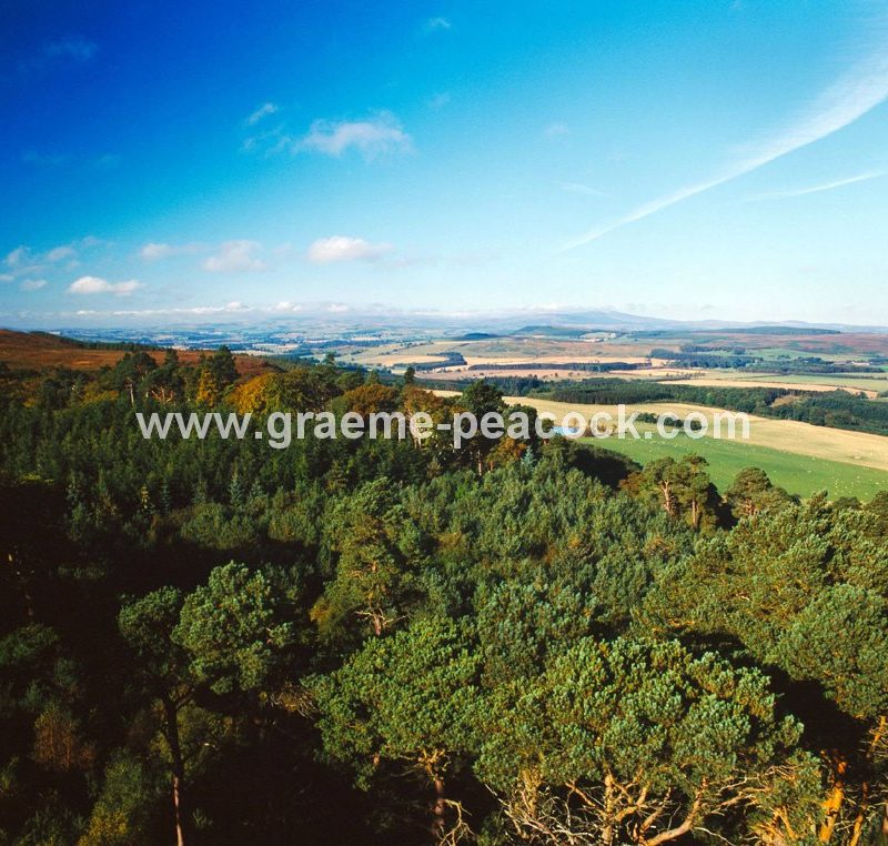View from Brizlee Tower, Hulne Park, Alnwick, Northumberland