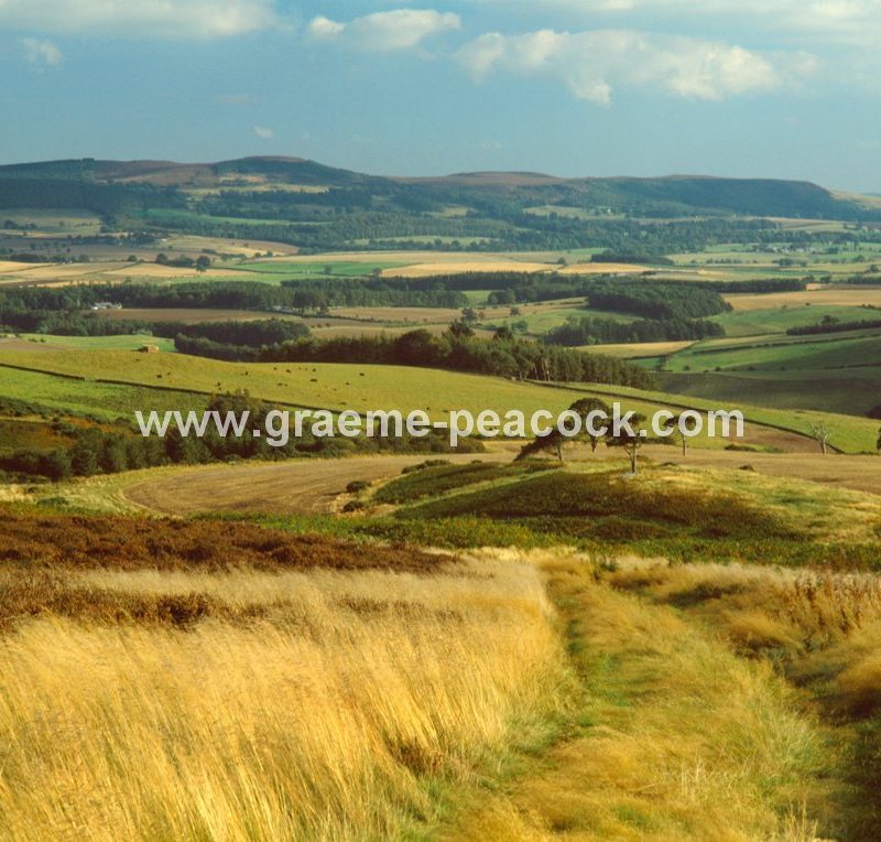 View South from Dod Law, near Wooler, Northumberland