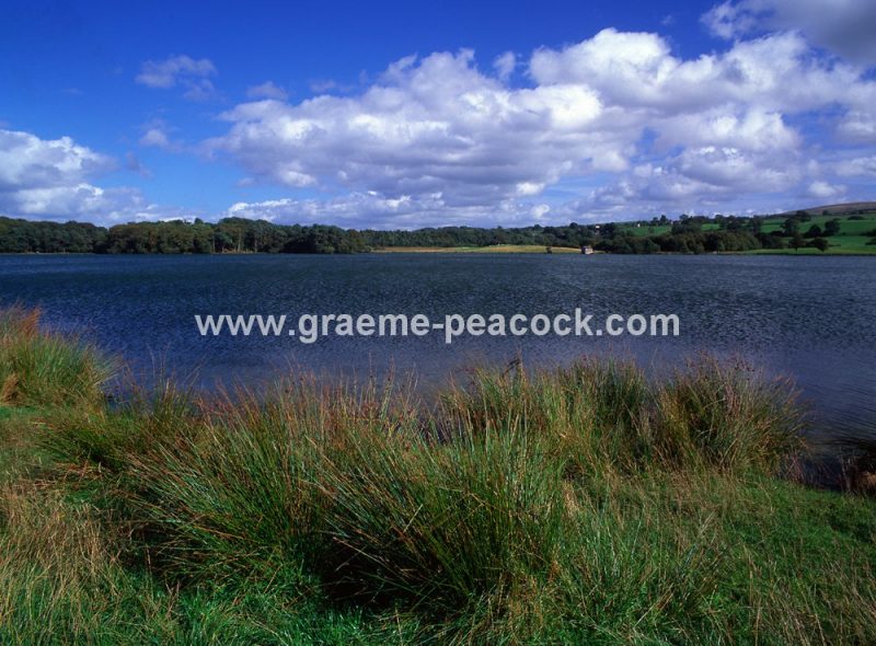Talkin Tarn, near Brampton, Cumbria
