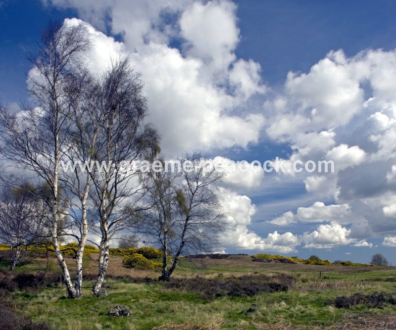 Waldridge Fell, Chester-le-Street, County Durham