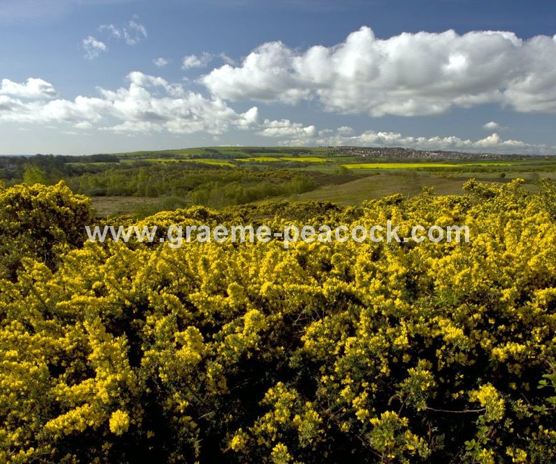 Waldridge Fell, Chester-le-Street, County Durham