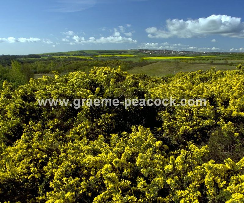 Waldridge Fell, Chester-le-Street, County Durham