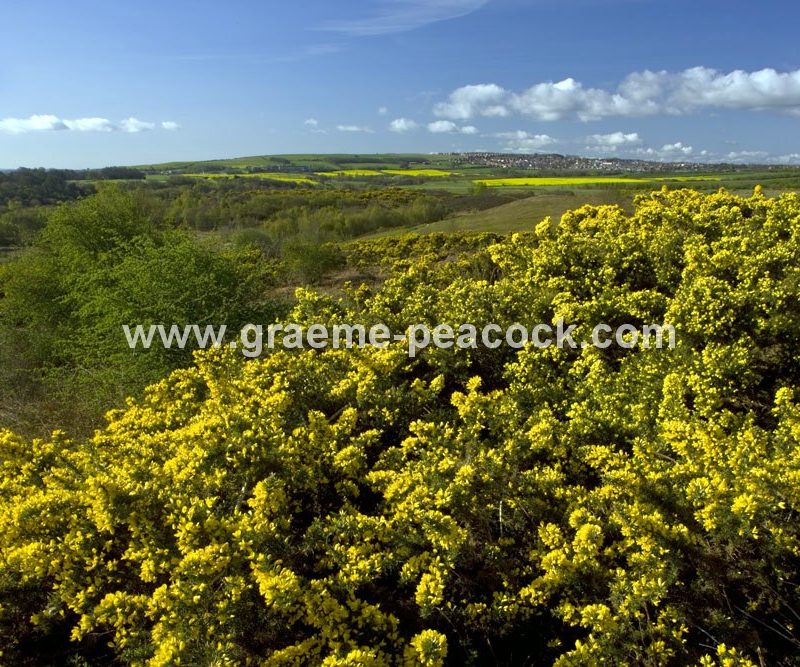 Waldridge Fell, Chester-le-Street, County Durham