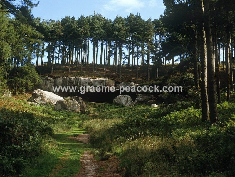 St. Cuthbert's Cave, near Belford, Northumberland