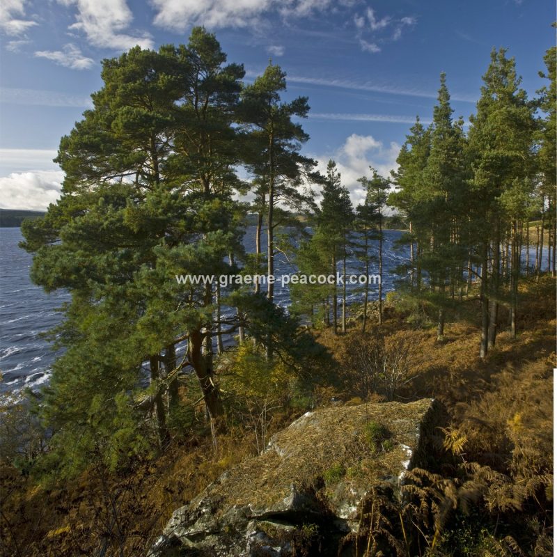 Kielder Water, Kielder, Northumberland