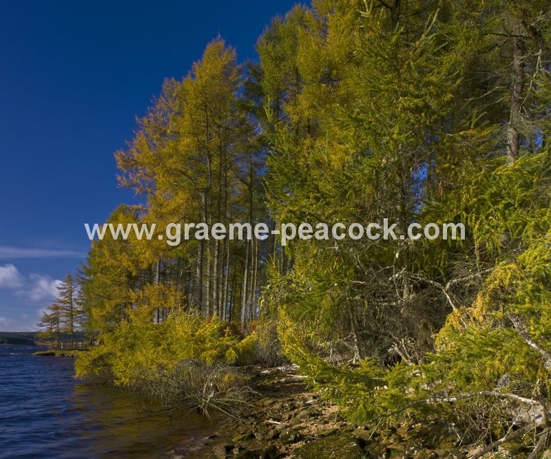 Kielder Water, Kielder, Northumberland