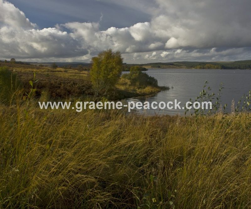 Kielder Water, Kielder, Northumberland