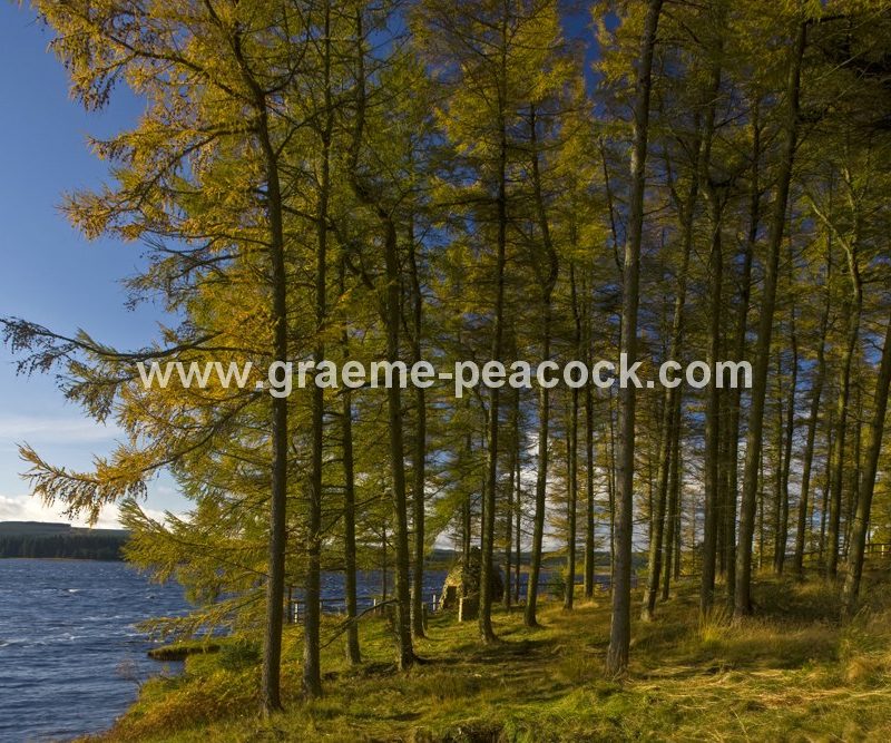 Kielder Water, Kielder, Northumberland