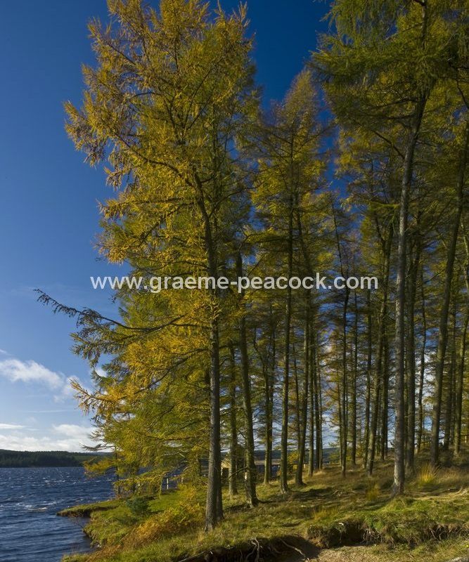 Kielder Water, Kielder, Northumberland