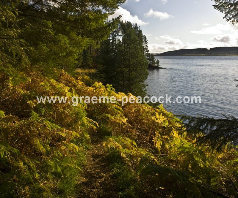 Kielder Water, Kielder, Northumberland