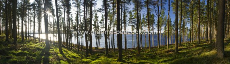 Kielder Water, Kielder, Northumberland