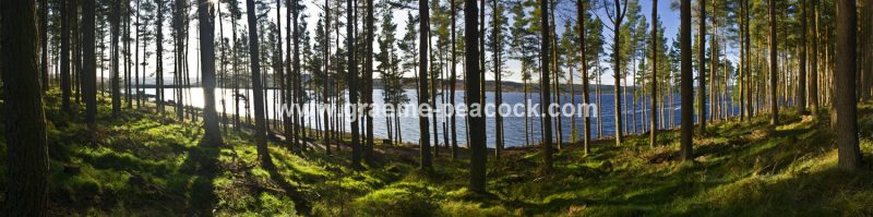 Kielder Water, Kielder, Northumberland