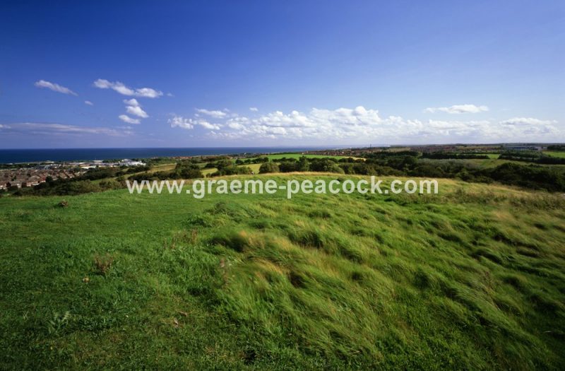 Cleadon Hills, Sunderland, Tyne and Wear