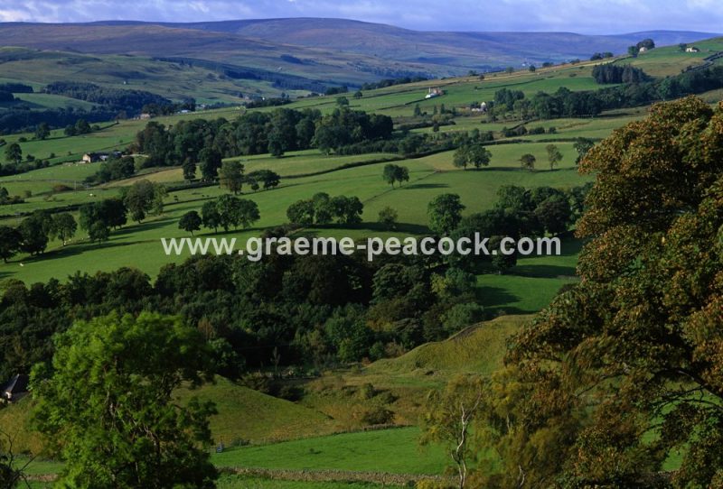 Weardale near Stanhope, County Durham