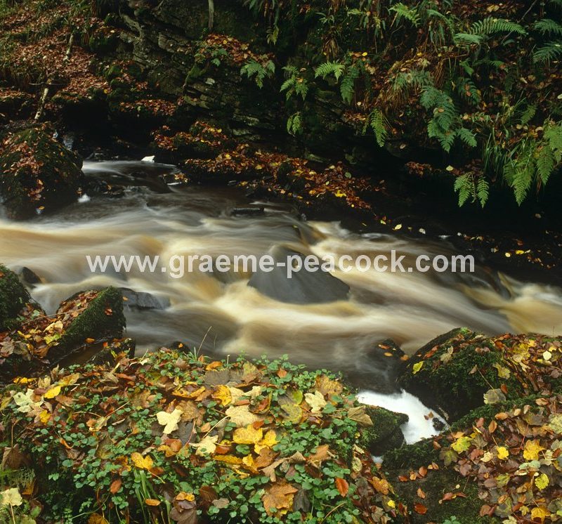 Haltwhistle Burn, Haltwhistle, Northumberland