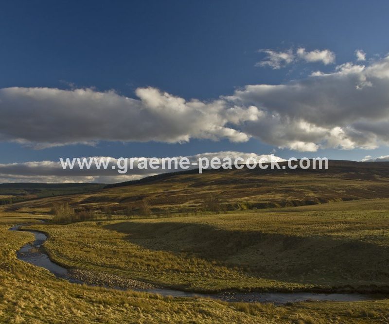 River Rede, near Rochester, Northumberland