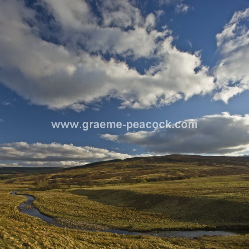 River Rede, near Rochester, Northumberland
