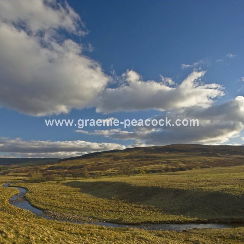 River Rede, near Rochester, Northumberland