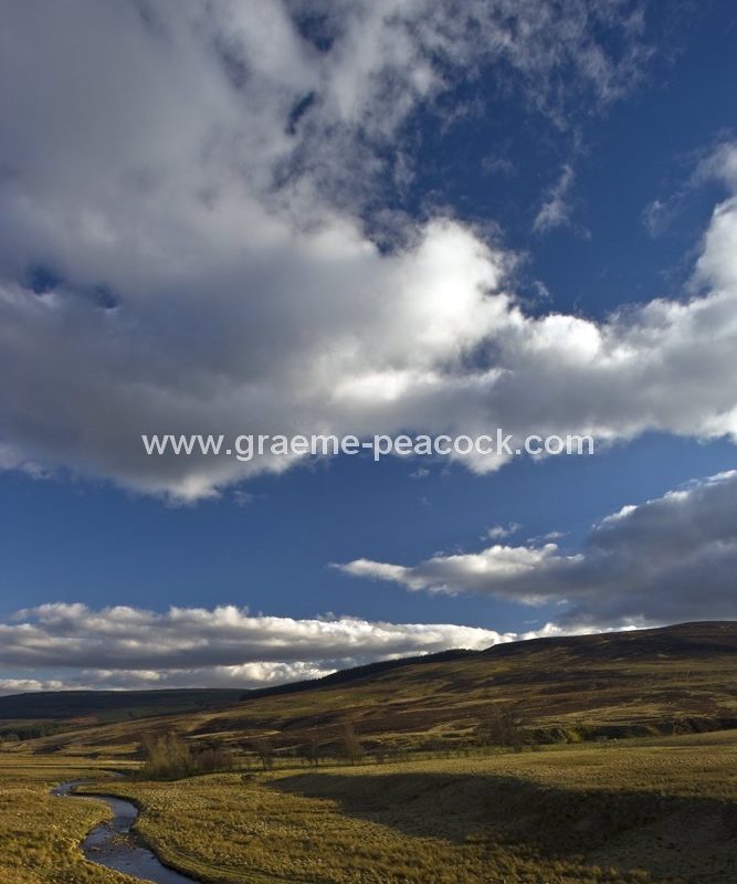 River Rede, near Rochester, Northumberland