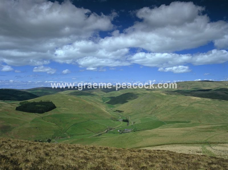 Upper Coquetdale near Shilmoor, Northumberland National Park