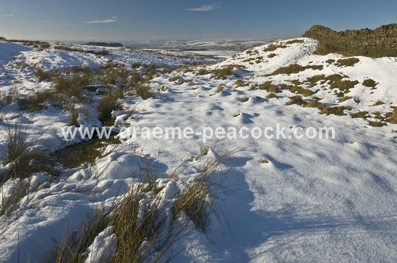 Winter landscape near Bellingham, Northumberland National Park