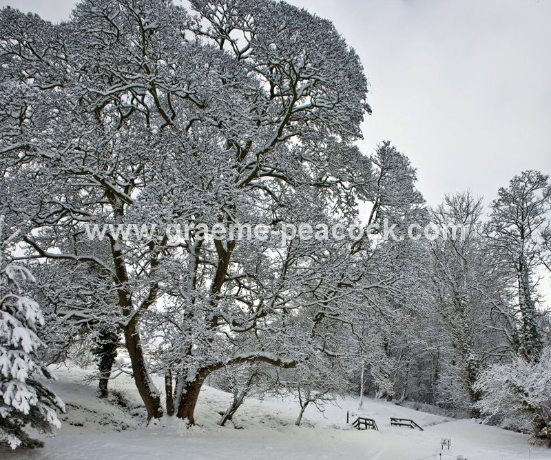 Close House Country Club near Wylam,  Northumberland