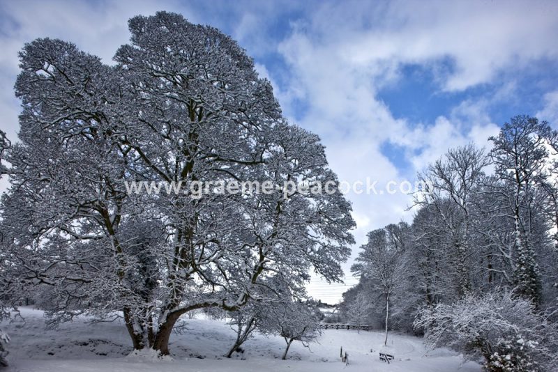 Close House Country Club near Wylam,  Northumberland