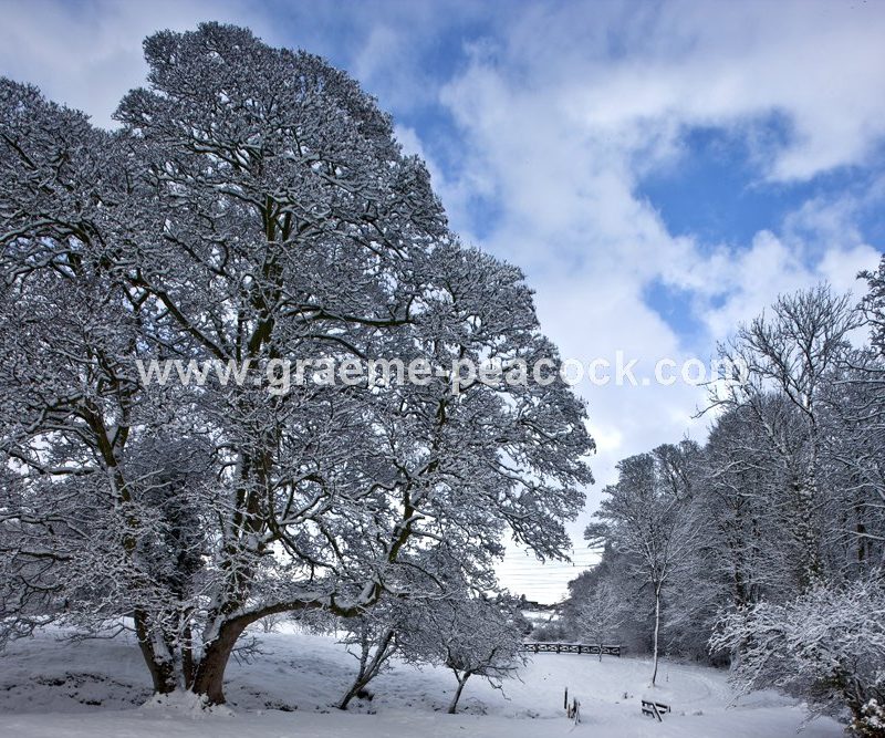 Close House Country Club near Wylam,  Northumberland