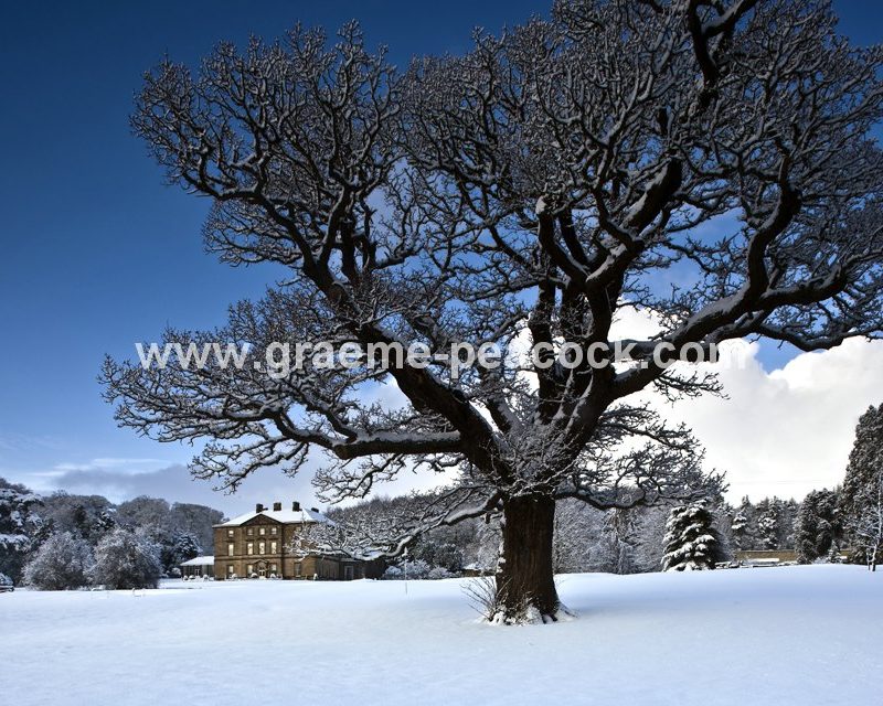 Close House Country Club near Wylam,  Northumberland