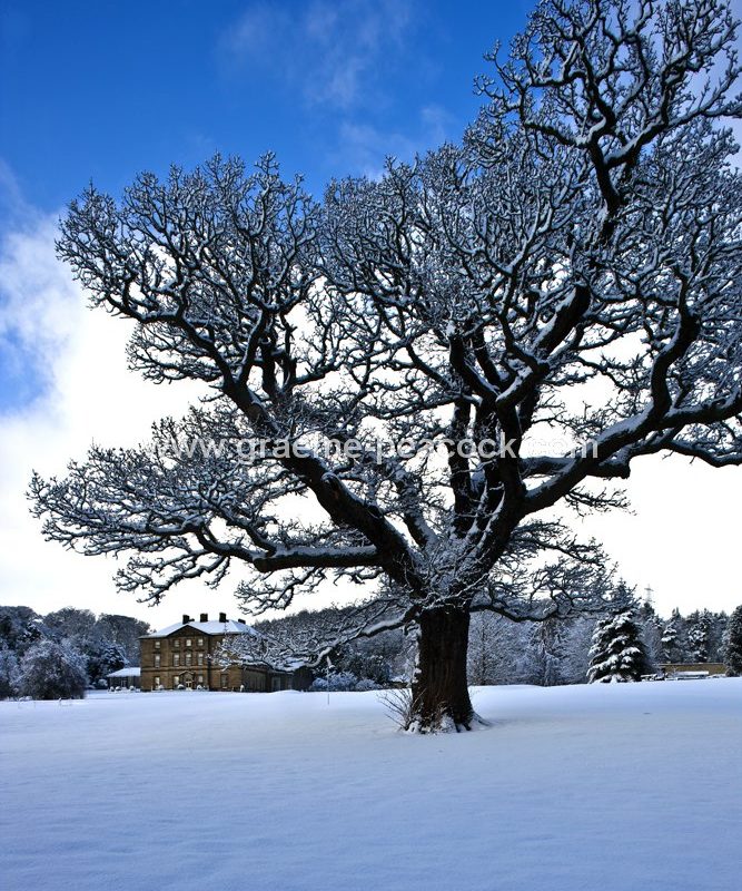 Close House Country Club near Wylam,  Northumberland