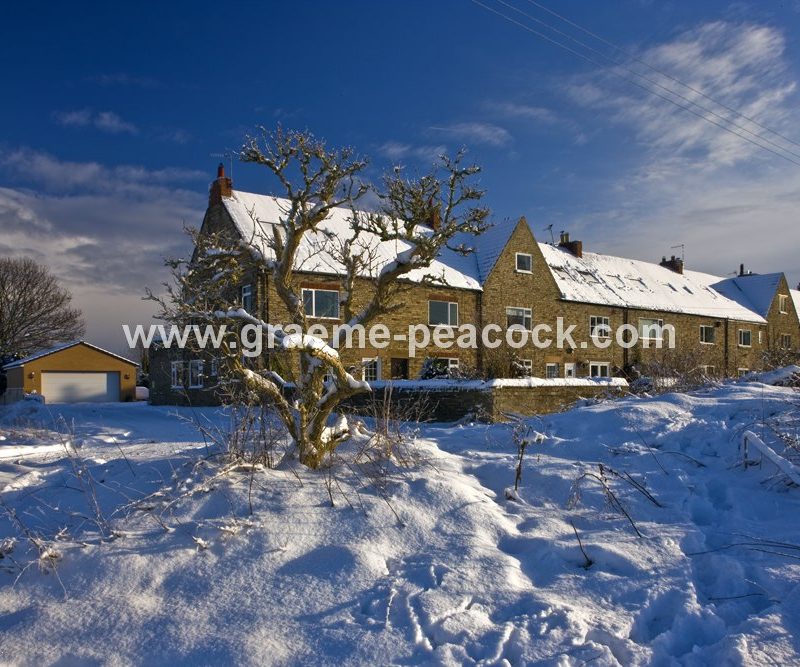 Cottages in winter near Newburn,  Tyne and Wear