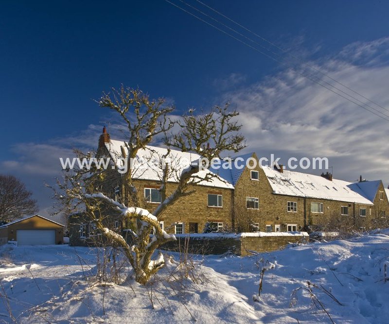 Cottages in winter near Newburn,  Tyne and Wear