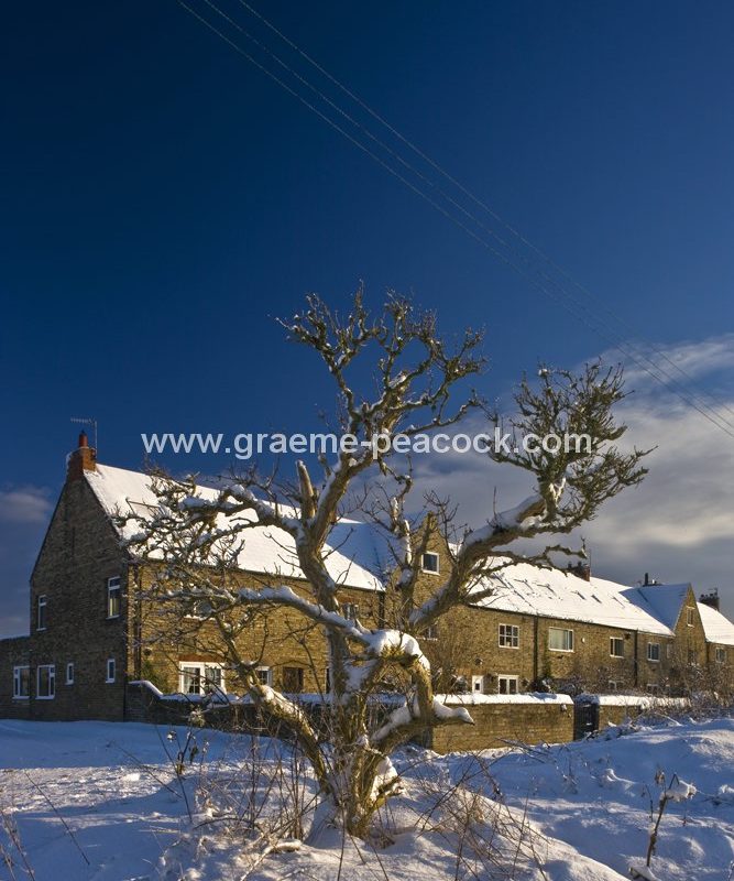 Cottages in winter near Newburn,  Tyne and Wear