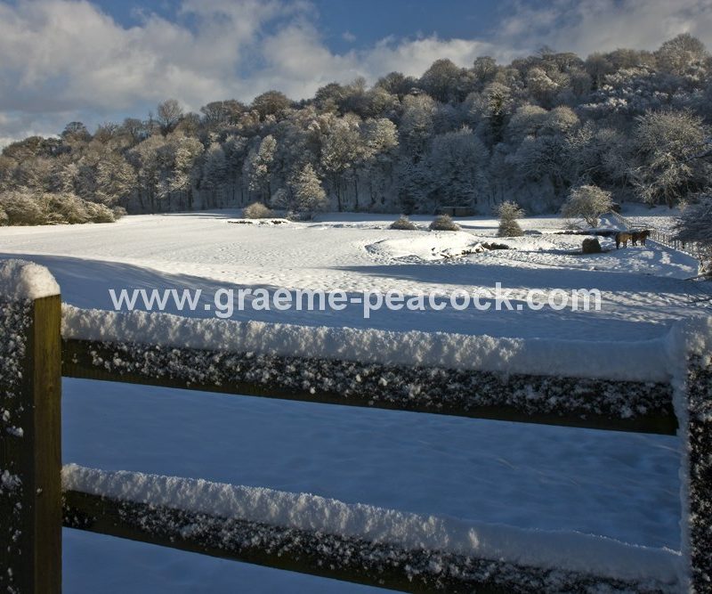 Winter landscape near Wylam,  Northumberland