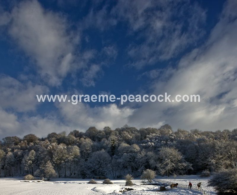 Winter landscape near Wylam,  Northumberland