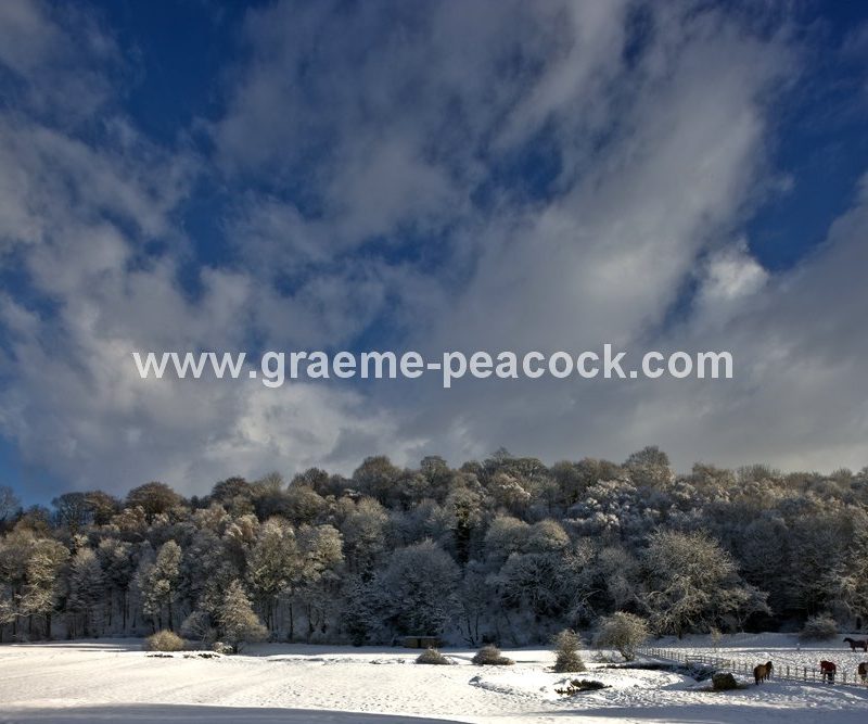 Winter landscape near Wylam,  Northumberland