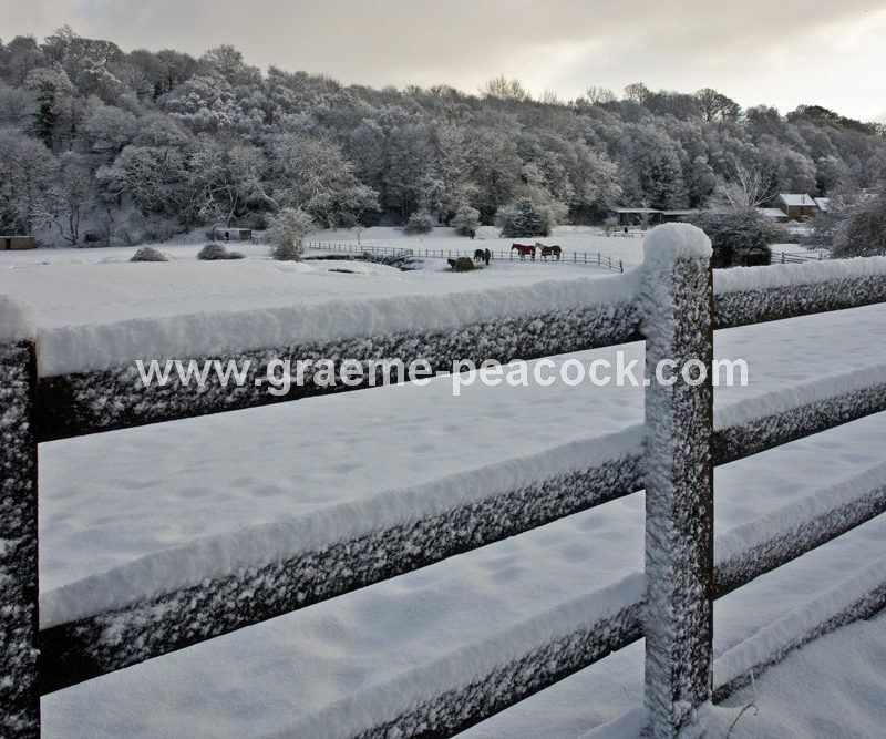 Winter landscape near Wylam,  Northumberland