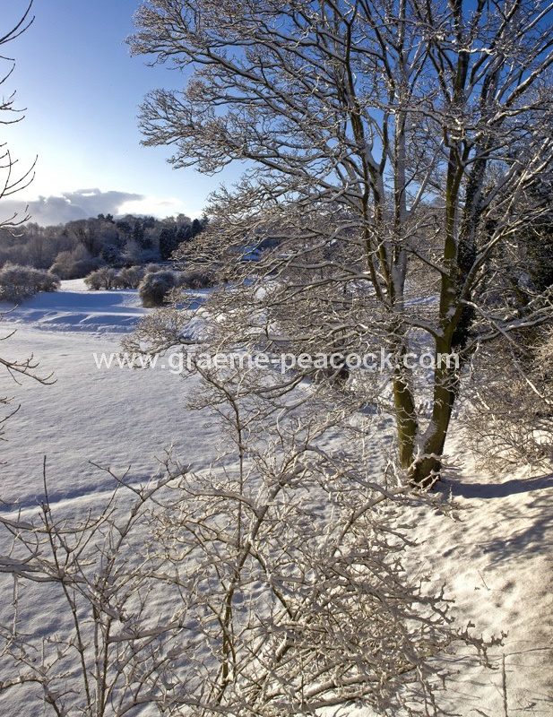 Winter landscape near Wylam,  Northumberland
