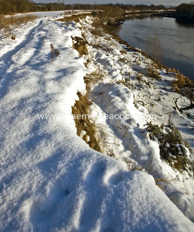 River Tyne in winter near Wylam,  Northumberland
